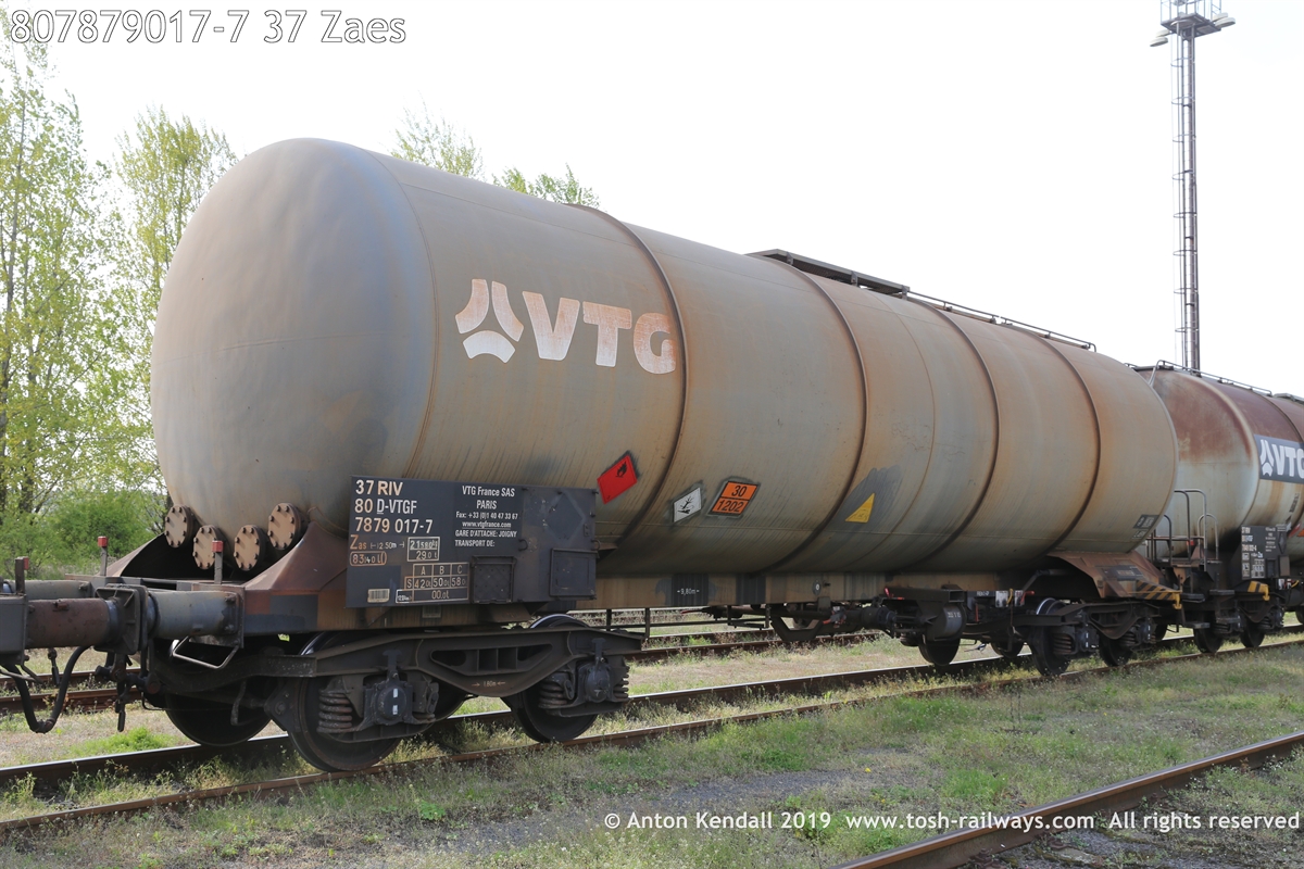 807879017-7_37 Zaes.JPG